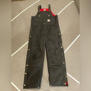 Carhartt Insulated Bib